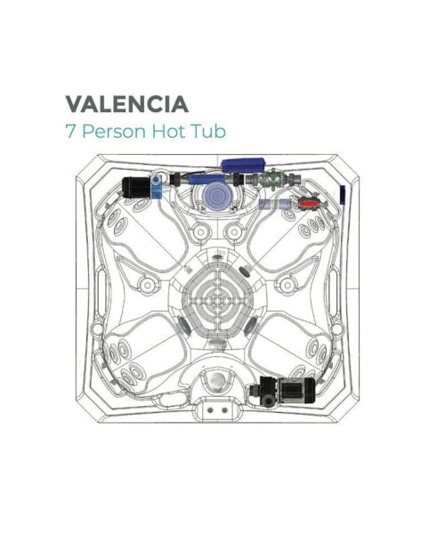 Wellis Valencia diagram